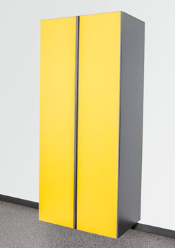 Sonic Yellow/Slate Combo Sonic Yellow/Slate Combo
